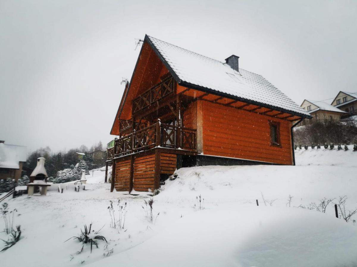 Stare Zabrodzie Villa Solina  Eksteriør bilde